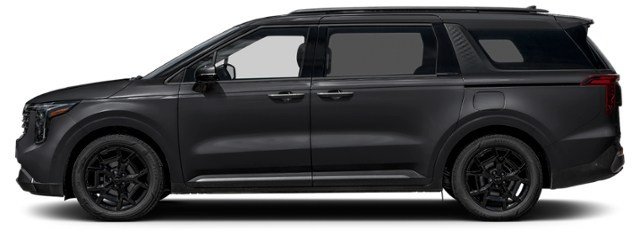 Aurora Black Pearl [Black]