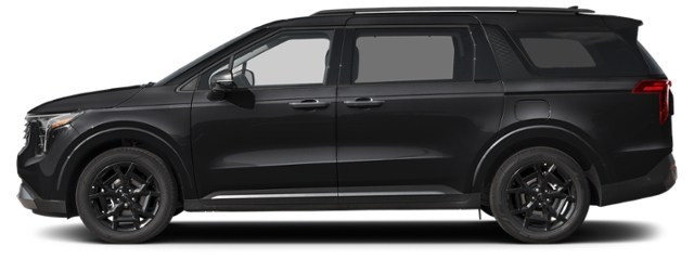 Aurora Black Pearl [Black]