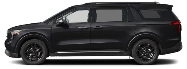 Aurora Black Pearl [Black]